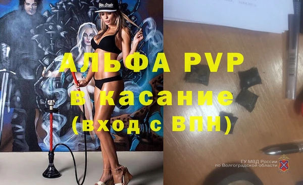 мяу мяу мука Балабаново