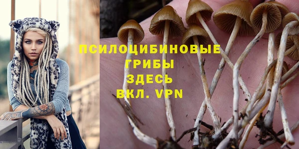 крисы Балахна